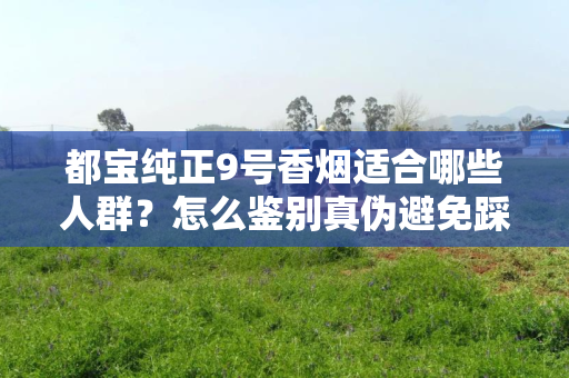 都宝纯正9号香烟适合哪些人群？怎么鉴别真伪避免踩坑？